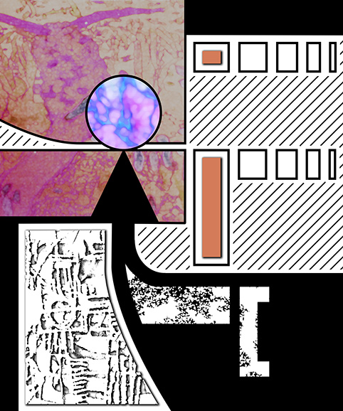 250428-1gr