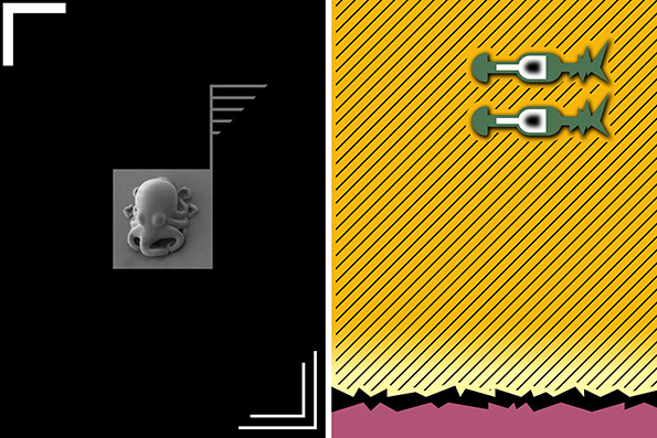 260409-1gr