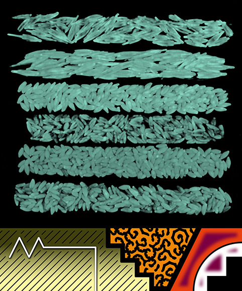 260813-1gr